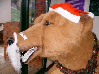 ファイル名: dscf0239.jpg.jpg
ファイルサイズ: 963.2KB dscf0239.jpg