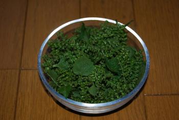 ファイル名: DSC0688.jpg
ファイルサイズ: 13.3KB DSC0688