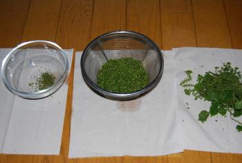 ファイル名: DSC0689.jpg
ファイルサイズ: 12.5KB DSC0689