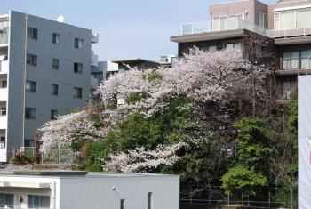 ファイル名: DSC0754.jpg
ファイルサイズ: 20.5KB DSC0754