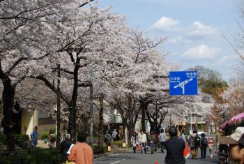 ファイル名: DSC0761.jpg
ファイルサイズ: 22.9KB DSC0761