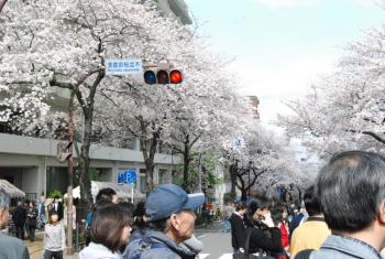 ファイル名: DSC0763.jpg
ファイルサイズ: 22.7KB DSC0763