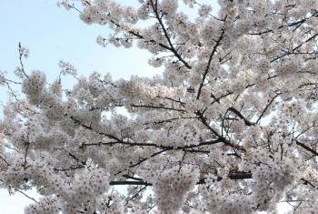 ファイル名: DSC0765.jpg
ファイルサイズ: 25KB DSC0765