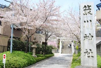 ファイル名: DSC0805.jpg
ファイルサイズ: 24.4KB DSC0805