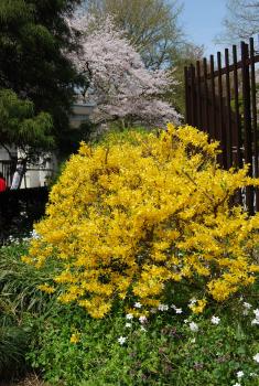 ファイル名: DSC0816.jpg
ファイルサイズ: 28.3KB DSC0816