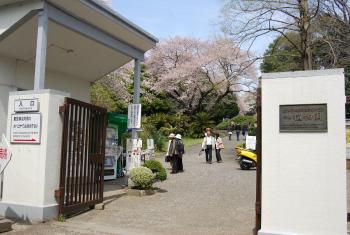 ファイル名: DSC0818.jpg
ファイルサイズ: 17.9KB DSC0818