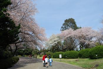 ファイル名: DSC0819.jpg
ファイルサイズ: 18KB DSC0819