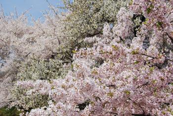 ファイル名: DSC0834.jpg
ファイルサイズ: 30.5KB DSC0834