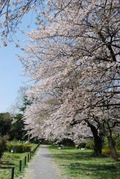 ファイル名: DSC0843.jpg
ファイルサイズ: 27KB DSC0843