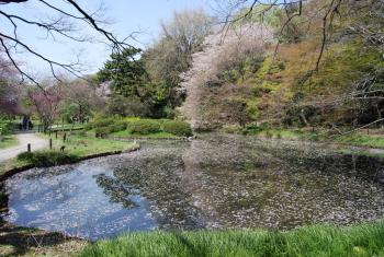 ファイル名: DSC0851.jpg
ファイルサイズ: 24.7KB DSC0851