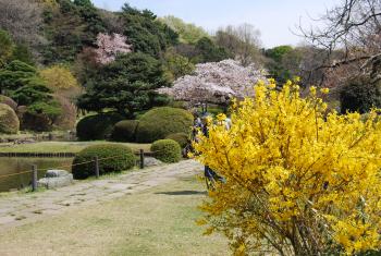 ファイル名: DSC0853.jpg
ファイルサイズ: 24.5KB DSC0853