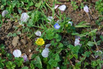 ファイル名: DSC0857.jpg
ファイルサイズ: 25.8KB DSC0857