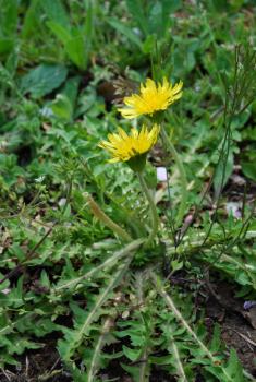 ファイル名: DSC0858.jpg
ファイルサイズ: 22.6KB DSC0858