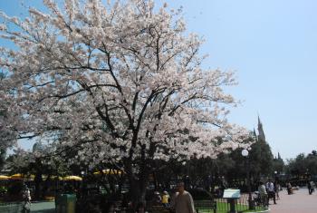 ファイル名: DSC0068.jpg
ファイルサイズ: 21.1KB DSC0068