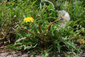 ファイル名: DSC0220.jpg
ファイルサイズ: 25KB DSC0220