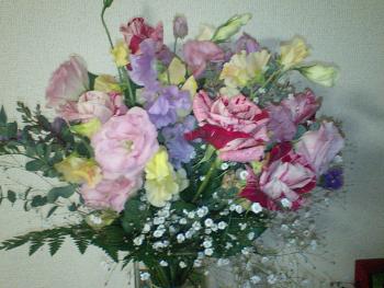 ファイル名: CA340205.jpg
ファイルサイズ: 20.1KB CA340205